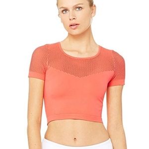 ALO Yoga Mesh Crop Top (Guava)